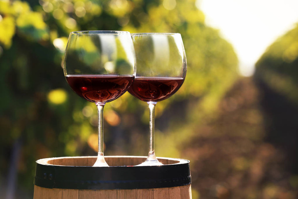 Pohár vörös bort hordó szabadban. Hely a szöveg - Fotó, kép
