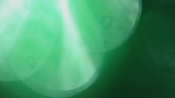 Mezcla colorida abstracta de neón holográfico y bokeh verde. Úsalo en pantalla o modo de superposición en tu proyecto
. - Imágenes, Vídeo