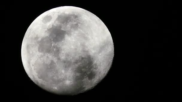 Μεγάλο φεγγάρι τη νύχτα στο φόντο μαύρο ουρανό, - Πλάνα, βίντεο