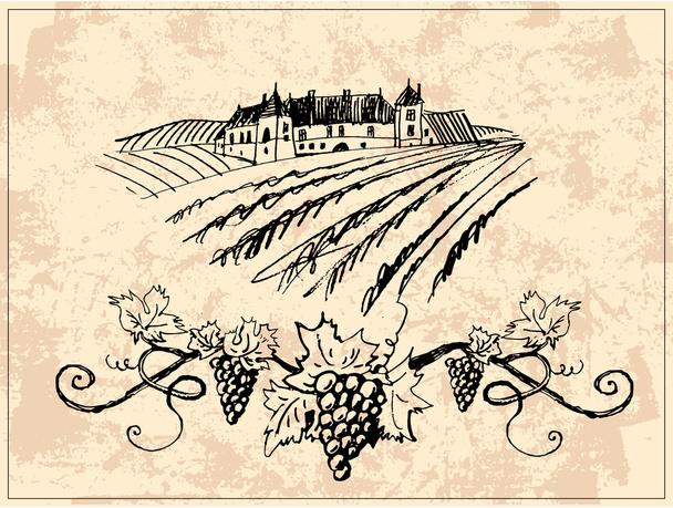 ブドウ畑と城 - ベクター画像