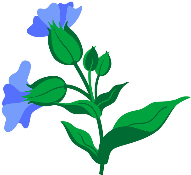Flower - Vector, afbeelding