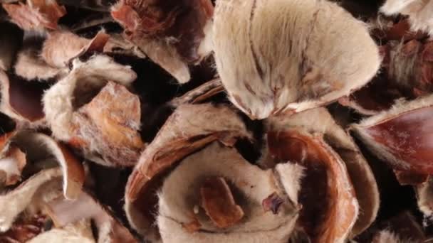 Cascas de castanha bio alimento
 - Filmagem, Vídeo