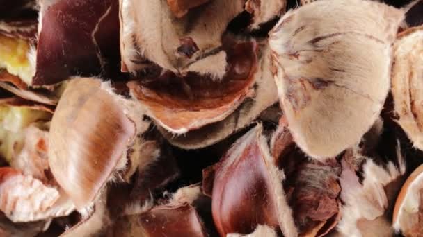 Καστανιάς φλούδες βιολογικών τροφίμων - Πλάνα, βίντεο