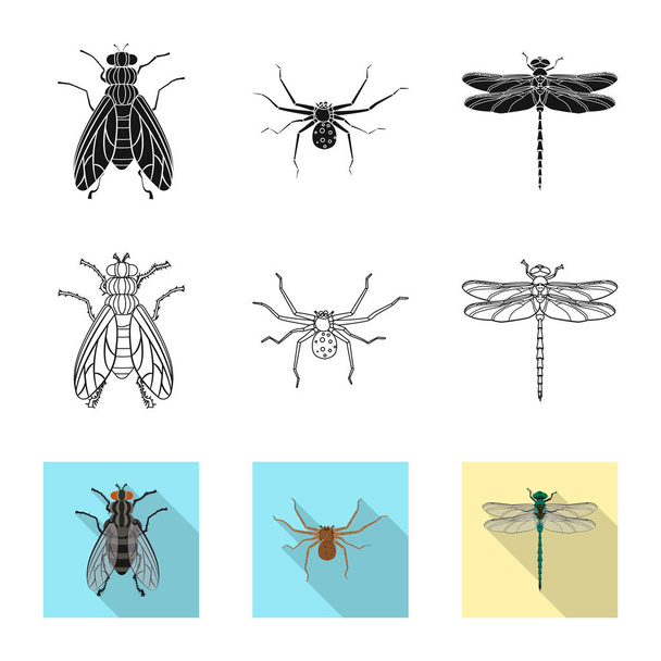 Vector design of insect and fly sign. Set of insect and element stock symbol for web. - Vector, Imagen