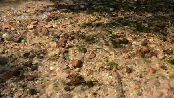 Pequeñas piedras de guijarro primer plano bajo el agua del arroyo fluyendo río
 - Metraje, vídeo