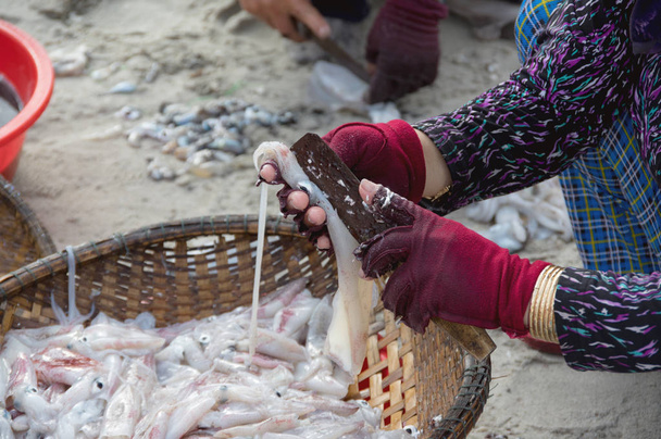 το ψαροχώρι, ζωή αλιείς στο ψαροχώρι περίπου άτομα, γυναίκες, παιδί, Θαλασσινά [...] του τα παραδοσιακά ψαροχώρια, εικόνα που χρησιμοποιείται στη διαφήμιση, σχεδιασμός, εμπορία τουρισμού - Φωτογραφία, εικόνα