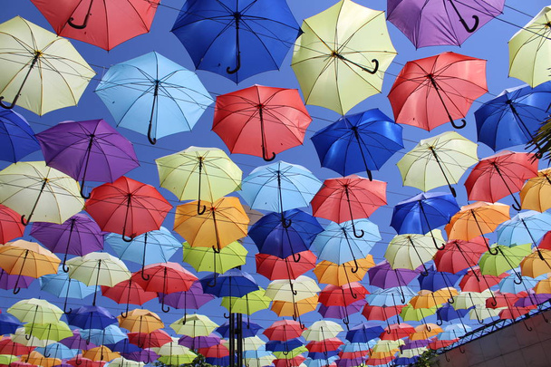 A large, color palette of umbrellas. Aleya - Photo, Image