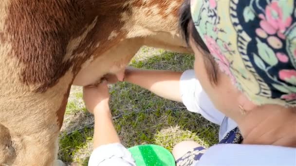 Eine Frau melkte eine Kuh auf traditionelle Weise. Nahaufnahme. Zeitlupe - Filmmaterial, Video