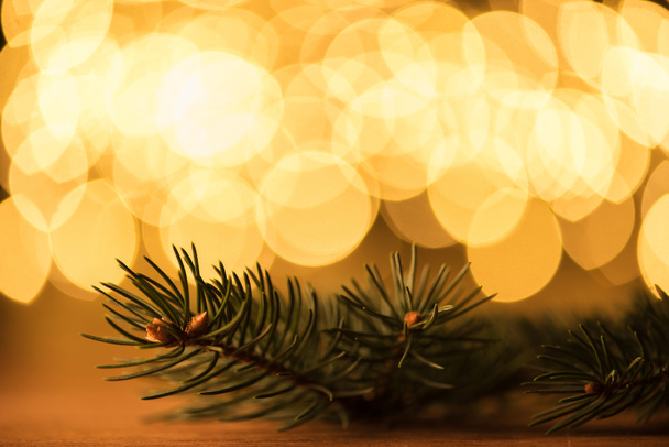 close up view of pine tree branch and golden bokeh lights backdrop - Foto, Imagen