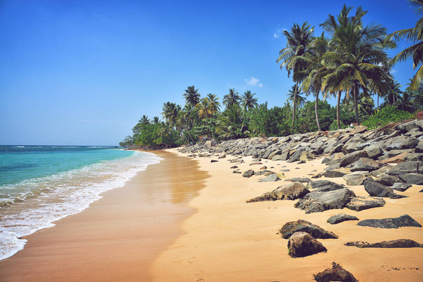 tropical beach in Sri Lanka - Foto, afbeelding