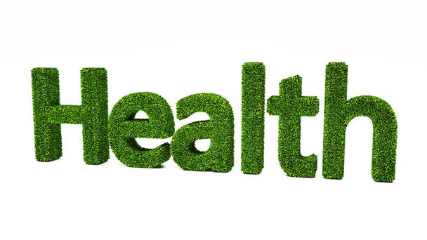 3D rendering HEALTH word made of green grass, save the earth concept - Photo, Image