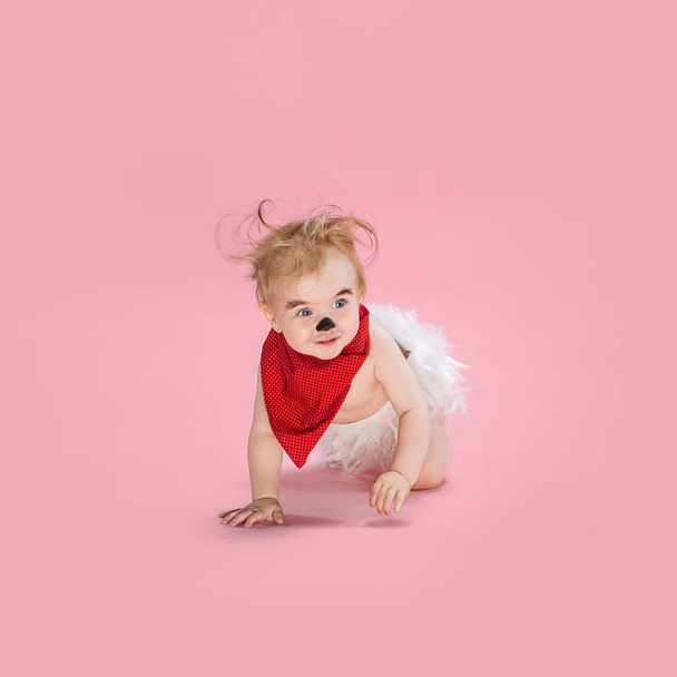 Newborn baby girl wearing a Halloween costume - Valokuva, kuva