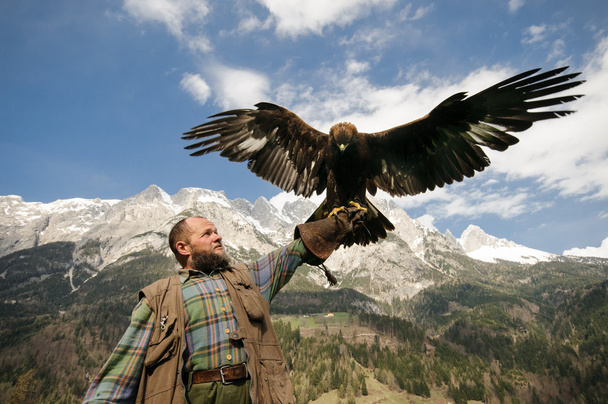 Golden eagle in front Tennengebirge - Photo, Image