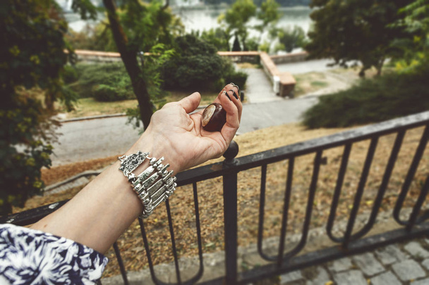 Свіжі каштани в руках жінка, на відкритому повітрі в природі біля річки, в європейському місті - Фото, зображення