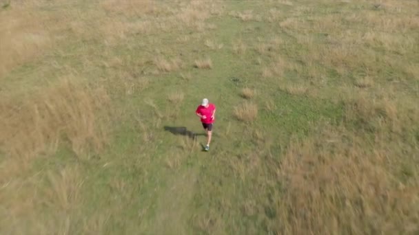 Aerial footage from a man running on the Hungarian meadow - Imágenes, Vídeo