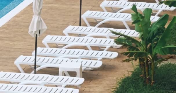 Belo guarda-chuva de luxo e cadeira em torno da piscina exterior no resort neary mar e praia
 - Filmagem, Vídeo