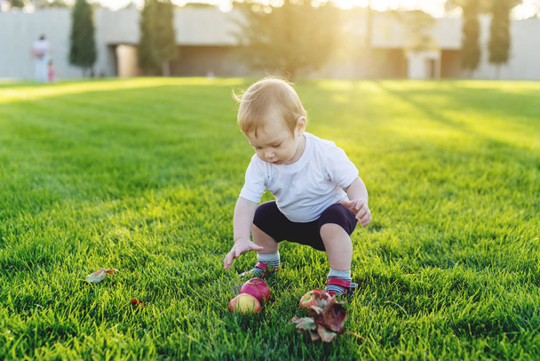 Lindo bebé jugando con manzanas en un césped verde en el Parque. El concepto de niño de un año
 - Foto, imagen