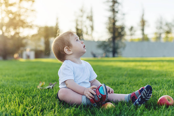 Şirin bebek parktaki yeşil çim üzerinde elma ile oynarken. Bir yaşındaki çocuk kavramı - Fotoğraf, Görsel