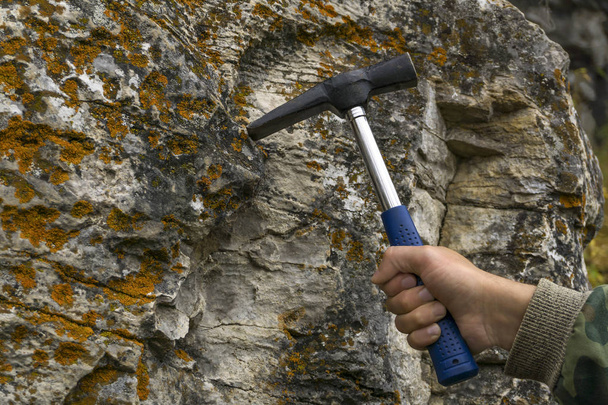 la mano del geólogo golpea una roca musgosa caliza con un martillo geológico para tomar una muestra
 - Foto, Imagen