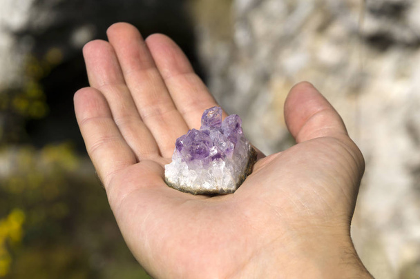 druse de cristales violetas naturales sin tratar de la amatista en un pedazo de roca miente en la palma de su mano
 - Foto, imagen