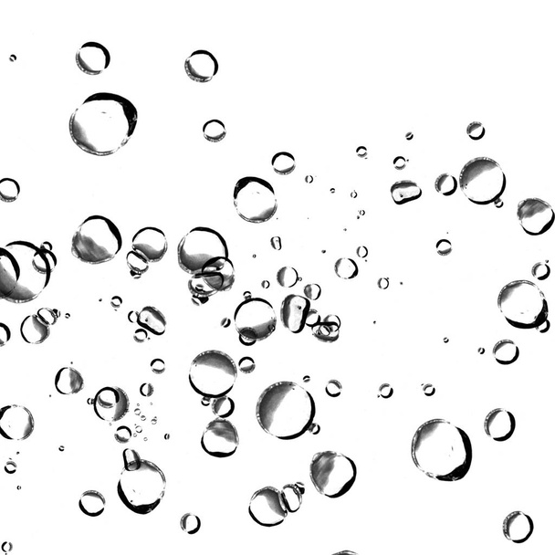 Isolated water bubbles on white background. - Photo, Image