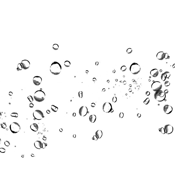 Isolated water bubbles on white background. - Photo, Image