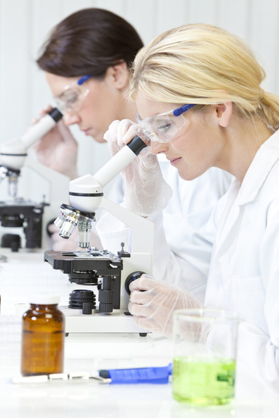Женская научно-исследовательская группа с использованием микроскопов в лабораторе
 - Фото, изображение