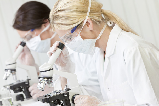 Equipo de Investigación Científica Femenina Usando Microscopios en Laboratorio
 - Foto, imagen