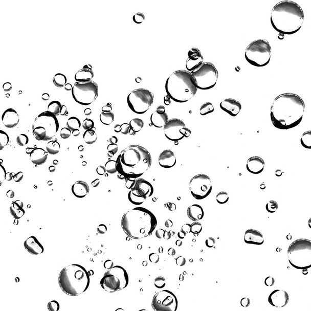 Ізольовані водяні бульбашки на білому тлі
. - Фото, зображення