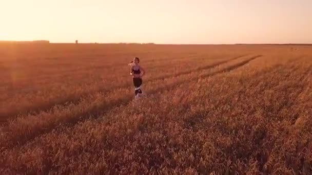Young sporty girl runner in wheat field - Filmagem, Vídeo