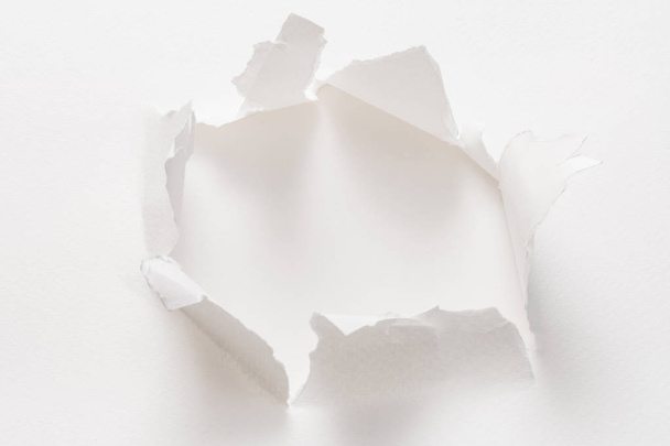 ripped torn white paper rough edge empty space - 写真・画像