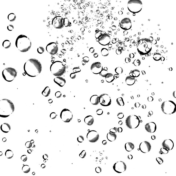 Elszigetelt víz buborékok, fehér háttér. - Fotó, kép