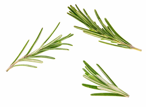 Fresh green sprig of rosemary isolated on a white background - Photo, Image