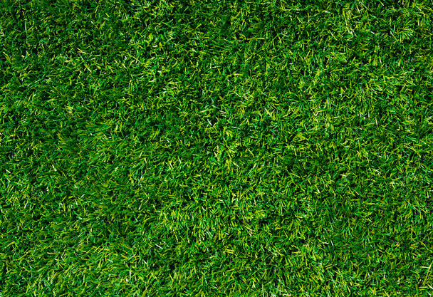 φόντο της ένα πράσινο γρασίδι - Φωτογραφία, εικόνα