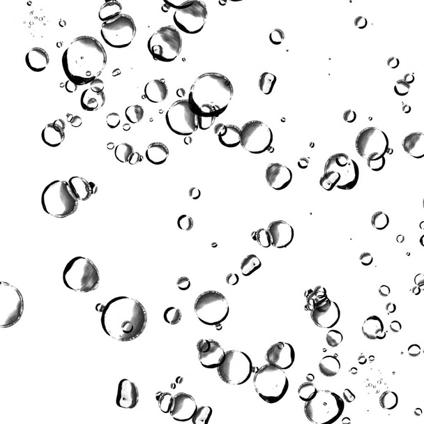 isolierte Wasserblasen auf weißem Hintergrund. - Foto, Bild