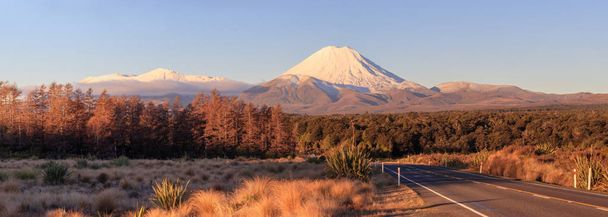  Δρόμος στο εθνικό πάρκο Tongariro και ηφαίστειο Ngauruhoe, Νέα Ζηλανδία - Φωτογραφία, εικόνα