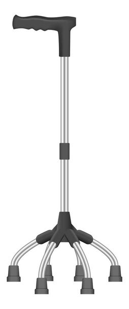 Quadruped walk stick icon, realistic style - Wektor, obraz