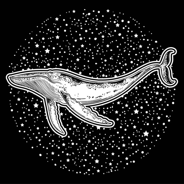 Hand drawn whale on cosmic background. Cosmos, universe, occultism, sacral, galaxy, space silhouette of whale. - Vector, Imagen