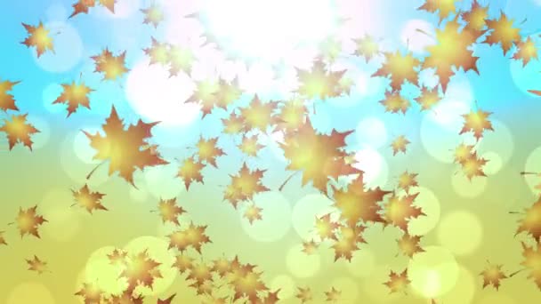 Maple Leaves Falling Animación de fondo otoñal adecuada para emisiones, comerciales y presentaciones. Se puede utilizar también en el Festival de la cosecha, videos caseros y presentaciones también
. - Metraje, vídeo