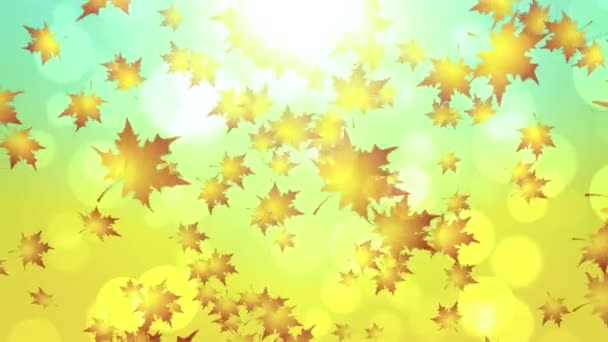 Maple φύλλα το φθινόπωρο πέφτουν φόντο animation κατάλληλο για μετάδοση, διαφημίσεις και παρουσιάσεις. Μπορεί να χρησιμοποιηθεί επίσης στο φεστιβάλ συγκομιδή, οικιακό βίντεο και παρουσιάσεις επίσης. - Πλάνα, βίντεο