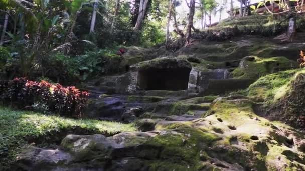 View of tropical rocky moss-covered slope with small rectangular niche in it - Footage, Video