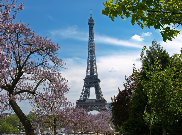 Az Eiffel-torony, tavasszal - Fotó, kép
