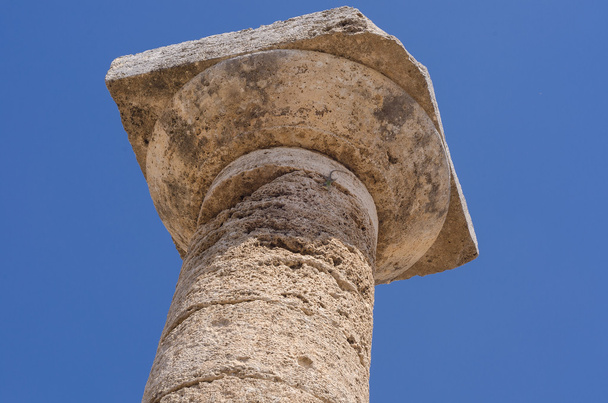 Paestum Temples - Φωτογραφία, εικόνα