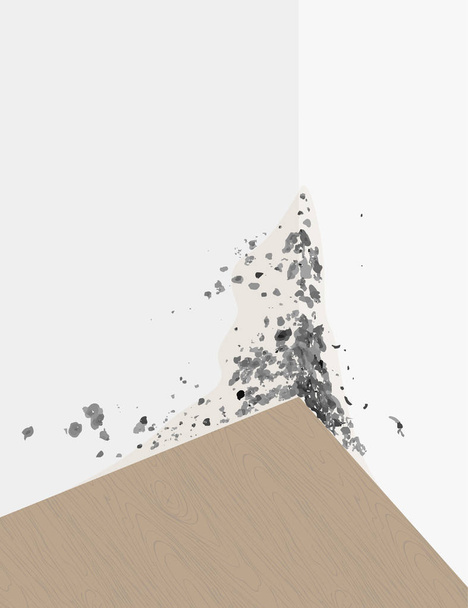 Image vectorielle de la moisissure noire sur les murs (en couches, vous pouvez désactiver la couche), et stratifier
. - Vecteur, image