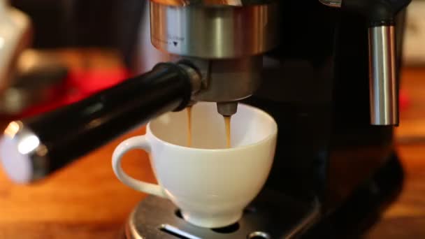 de houder van de koffie in het koffiezetapparaat close-up invoegen - Video