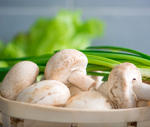 Mushrooms and green onions - Foto, Imagem