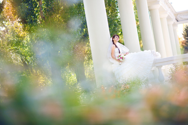bride in columns and leaves - Foto, Bild