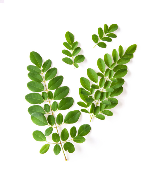 Moringa leaves have medicinal properties. top view - Foto, imagen