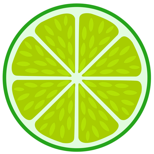 Green lime slice- citrus fruit cut section - Vector, Image
