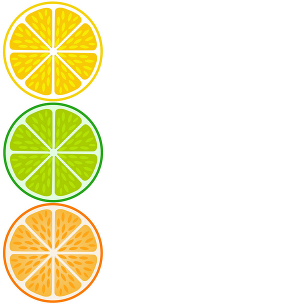 明るい色で柑橘系の果物のスライス - ベクター画像